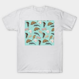 My Favourite Amazing Animals T-Shirt